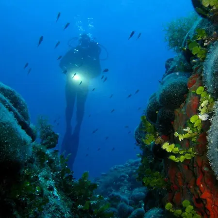 Bed & Diving Konukevi *