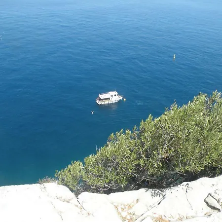 بيت ضيافة Bed & Diving سافونا